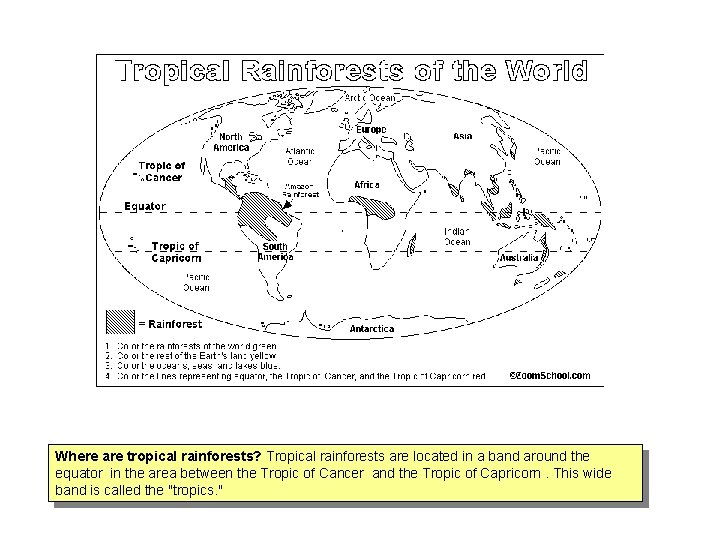 Where are tropical rainforests? Tropical rainforests are located in a band around the equator