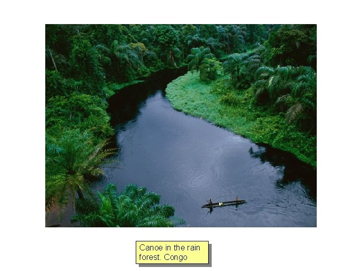 Canoe in the rain forest. Congo 