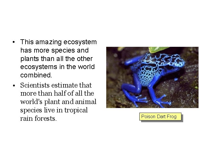  • This amazing ecosystem has more species and plants than all the other