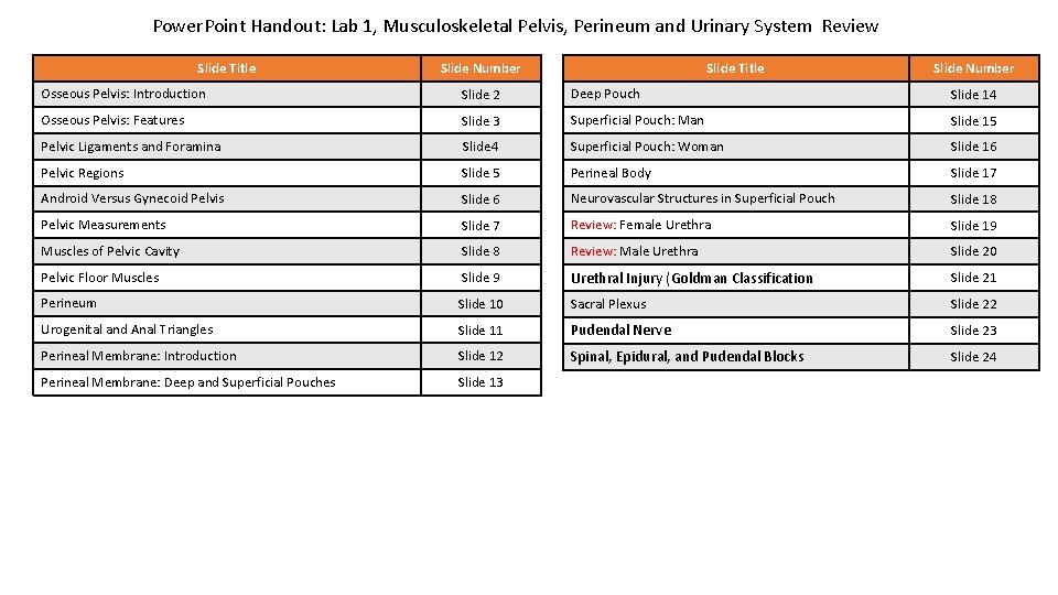 Power. Point Handout: Lab 1, Musculoskeletal Pelvis, Perineum and Urinary System Review Slide Title