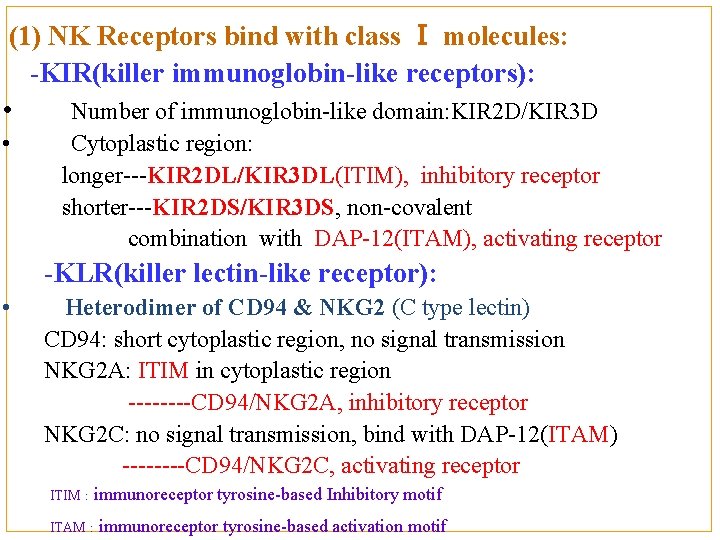 (1) NK Receptors bind with class Ⅰ molecules: -KIR(killer immunoglobin-like receptors): • Number of