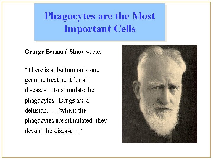 Phagocytes are the Most Important Cells George Bernard Shaw wrote: “There is at bottom