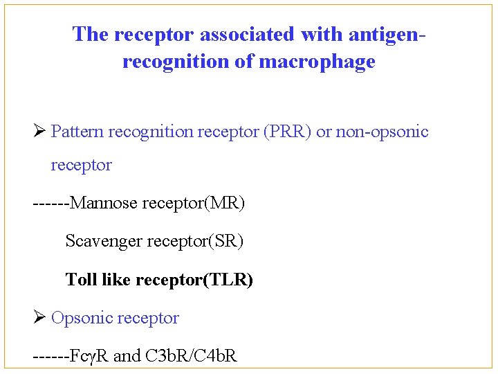 The receptor associated with antigenrecognition of macrophage Ø Pattern recognition receptor (PRR) or non-opsonic