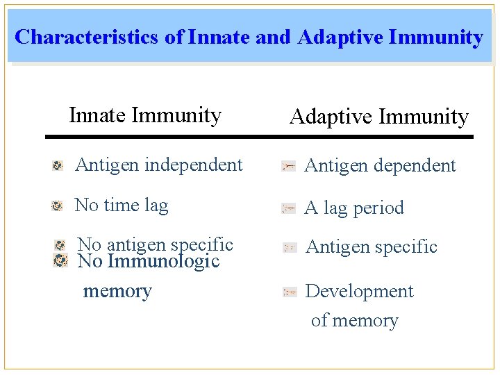 Characteristics of Innate and Adaptive Immunity Innate Immunity Adaptive Immunity Antigen independent Antigen dependent