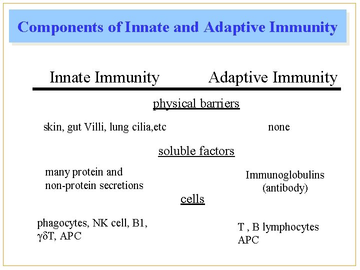 Components of Innate and Adaptive Immunity Innate Immunity Adaptive Immunity physical barriers skin, gut