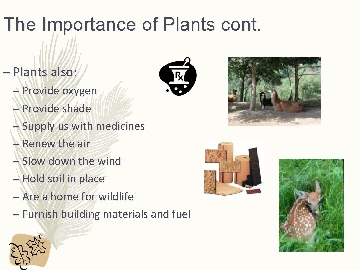 The Importance of Plants cont. – Plants also: – Provide oxygen – Provide shade