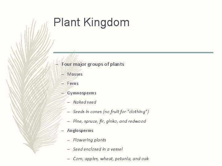 Plant Kingdom – Four major groups of plants – Mosses – Ferns – Gymnosperms