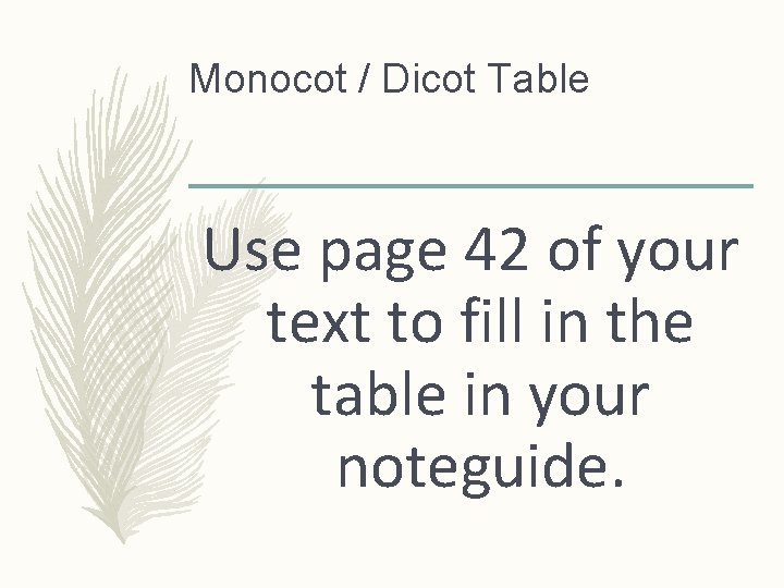 Monocot / Dicot Table Use page 42 of your text to fill in the