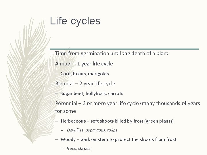 Life cycles – Time from germination until the death of a plant – Annual