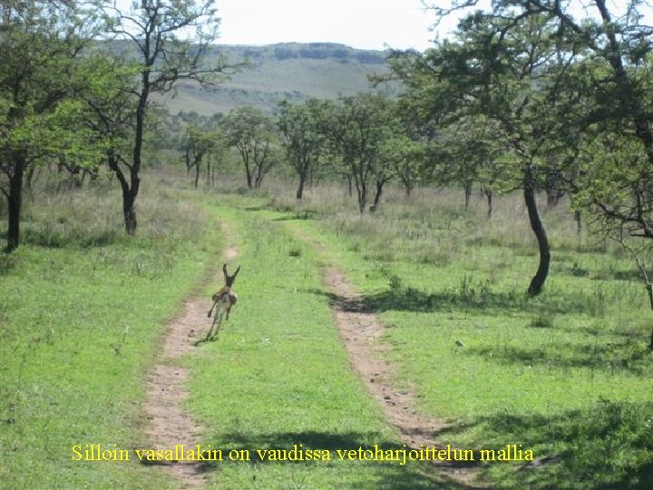 Silloin vasallakin on vaudissa vetoharjoittelun mallia 