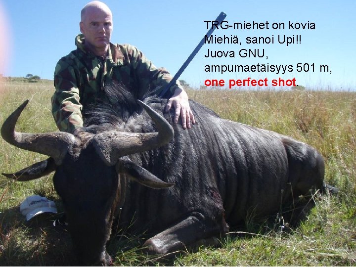 TRG-miehet on kovia Miehiä, sanoi Upi!! Juova GNU, ampumaetäisyys 501 m, one perfect shot.