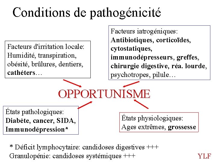 Conditions de pathogénicité Facteurs d'irritation locale: Humidité, transpiration, obésité, brûlures, dentiers, cathéters… Facteurs iatrogéniques: