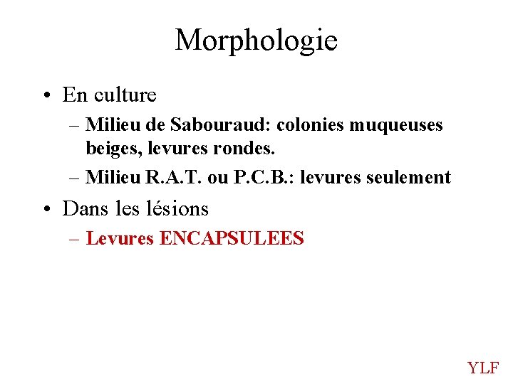 Morphologie • En culture – Milieu de Sabouraud: colonies muqueuses beiges, levures rondes. –