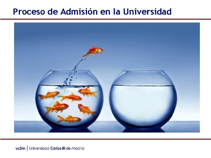 Proceso de Admisión en la Universidad 