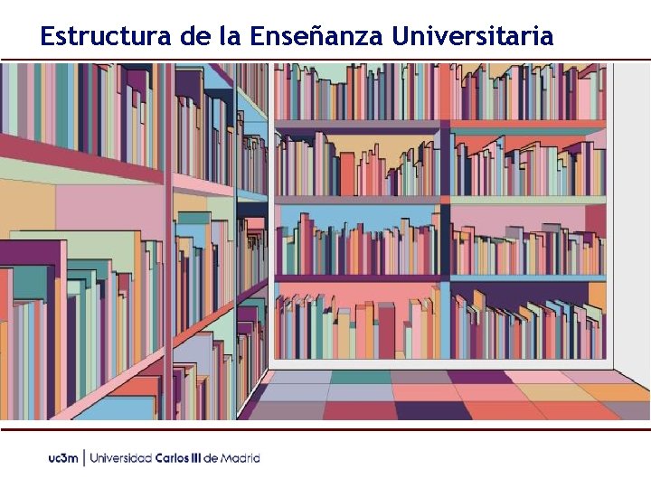 Estructura de la Enseñanza Universitaria 