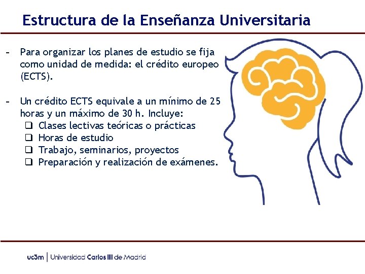 Estructura de la Enseñanza Universitaria - Para organizar los planes de estudio se fija