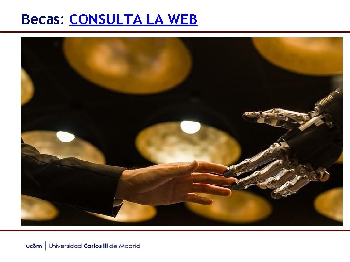 Becas: CONSULTA LA WEB 