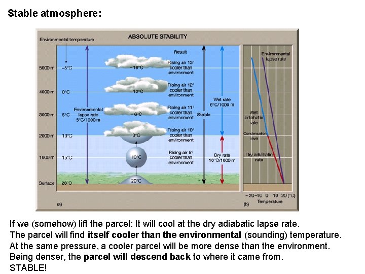 Stable atmosphere: If we (somehow) lift the parcel: It will cool at the dry