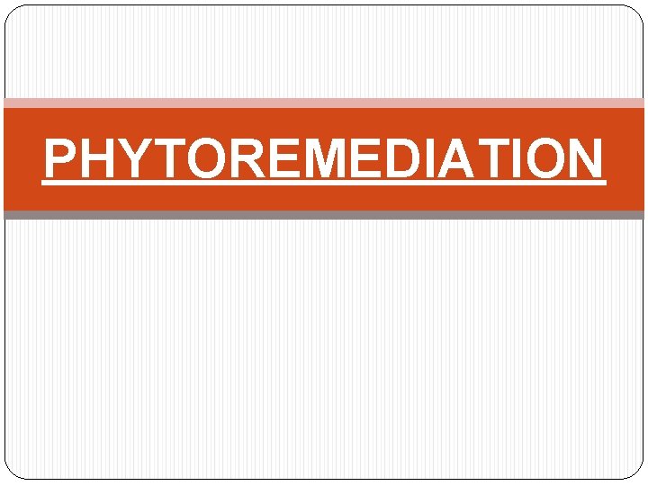 PHYTOREMEDIATION 