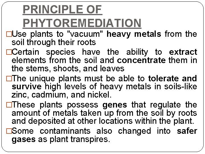 PRINCIPLE OF PHYTOREMEDIATION �Use plants to "vacuum" heavy metals from the soil through their