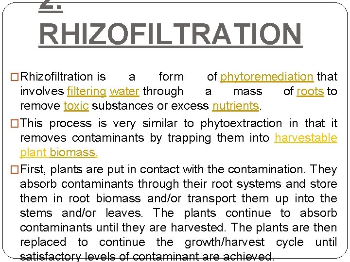 2. RHIZOFILTRATION �Rhizofiltration is a form of phytoremediation that involves filtering water through a