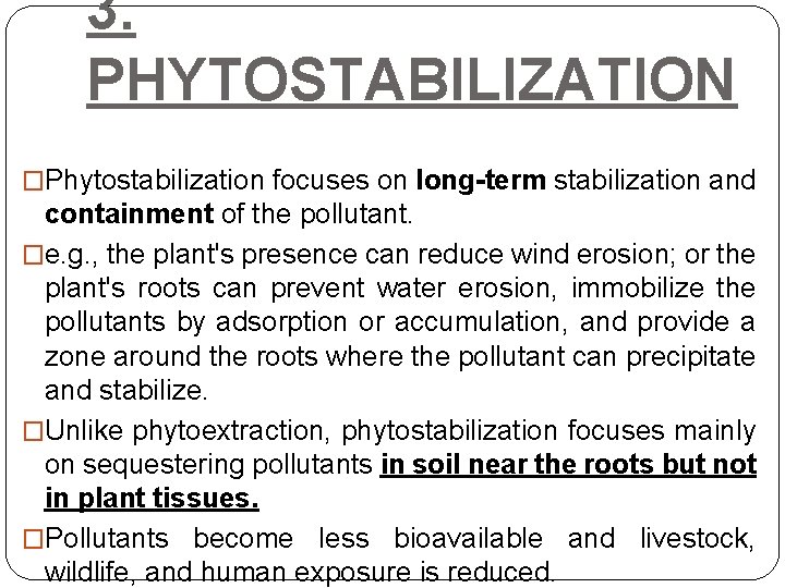 3. PHYTOSTABILIZATION �Phytostabilization focuses on long-term stabilization and containment of the pollutant. �e. g.