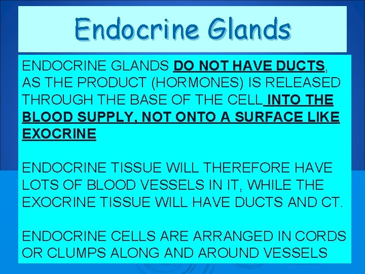 Endocrine Glands ENDOCRINE GLANDS DO NOT HAVE DUCTS, AS THE PRODUCT (HORMONES) IS RELEASED