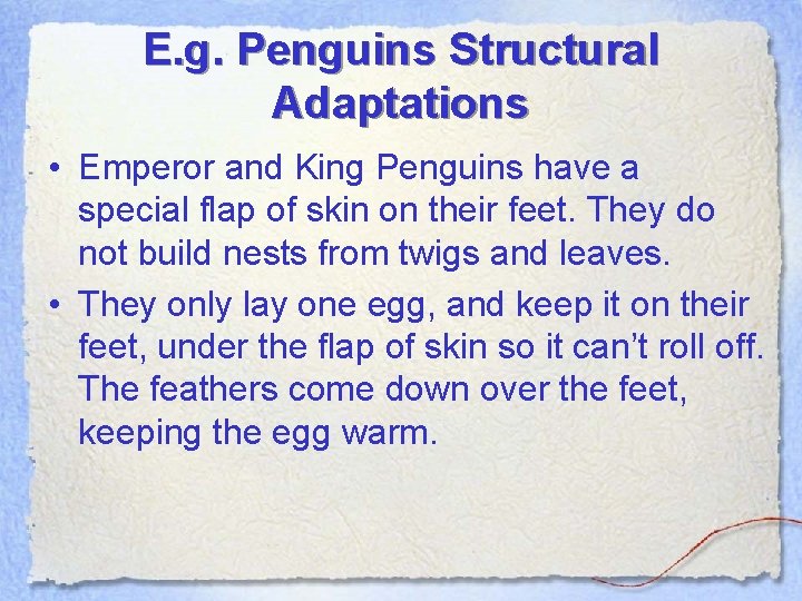 E. g. Penguins Structural Adaptations • Emperor and King Penguins have a special flap