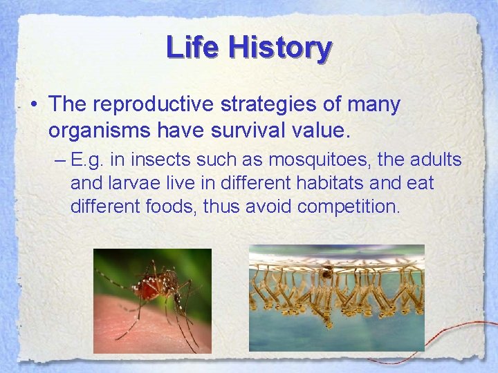 Life History • The reproductive strategies of many organisms have survival value. – E.