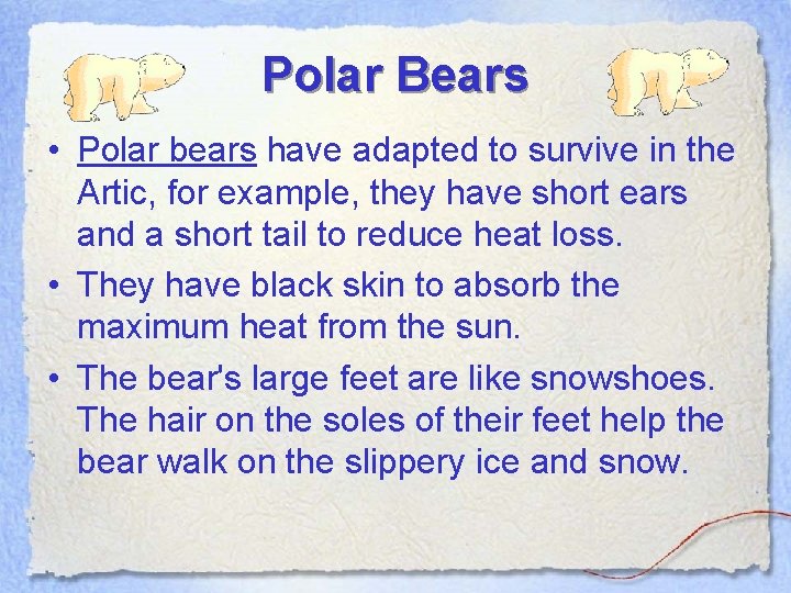 Polar Bears • Polar bears have adapted to survive in the Artic, for example,