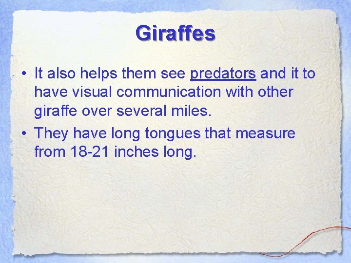 Giraffes • It also helps them see predators and it to have visual communication