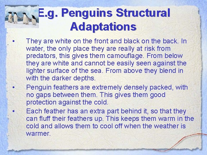 E. g. Penguins Structural Adaptations • • • They are white on the front