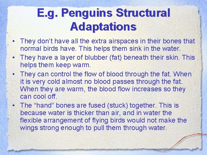 E. g. Penguins Structural Adaptations • They don’t have all the extra airspaces in