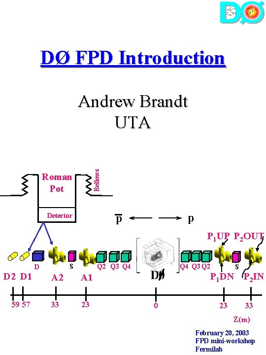 DØ FPD Introduction Bellows Andrew Brandt UTA Roman Pot p p Detector P 1