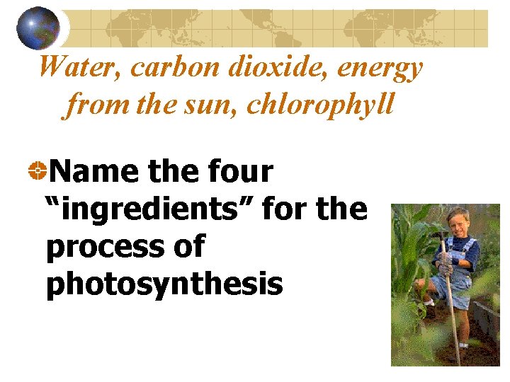 Water, carbon dioxide, energy from the sun, chlorophyll Name the four “ingredients” for the