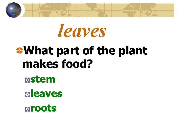 leaves What part of the plant makes food? stem leaves roots 