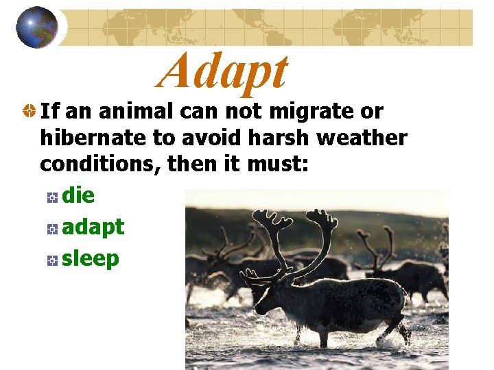 Adapt If an animal can not migrate or hibernate to avoid harsh weather conditions,