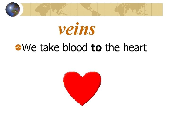 veins We take blood to the heart 