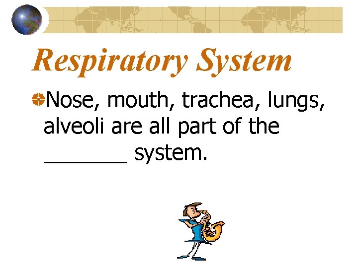 Respiratory System Nose, mouth, trachea, lungs, alveoli are all part of the _______ system.