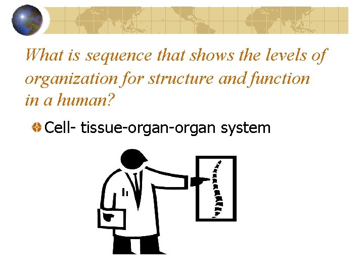 What is sequence that shows the levels of organization for structure and function in