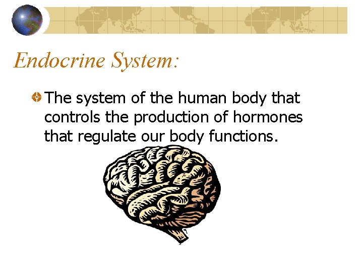 Endocrine System: The system of the human body that controls the production of hormones