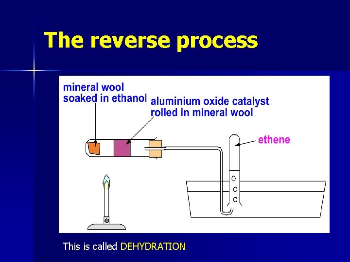 The reverse process This is called DEHYDRATION 