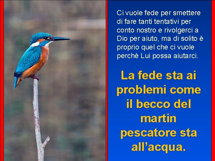 Ci vuole fede per smettere di fare tanti tentativi per conto nostro e rivolgerci