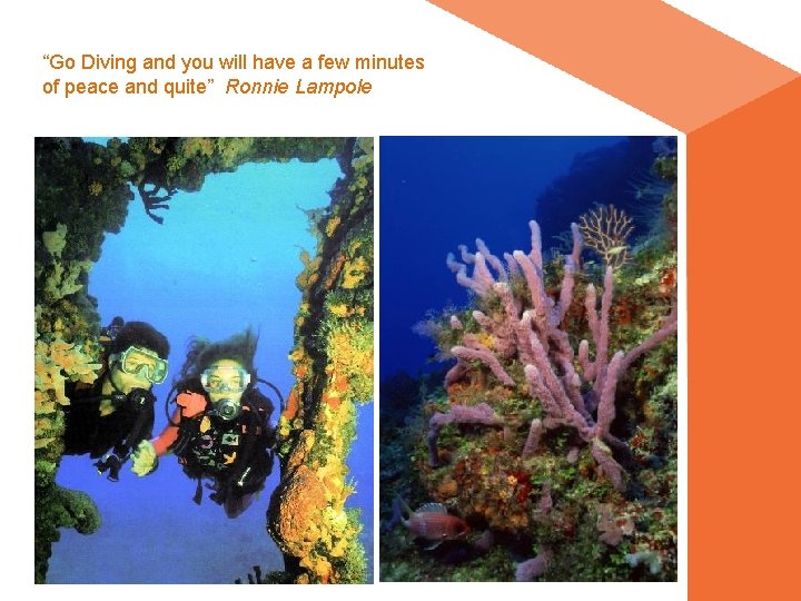“Go Diving and you will have a few minutes of peace and quite” Ronnie “Go Diving and you will have a few minutes of peace and quite” Ronnie
