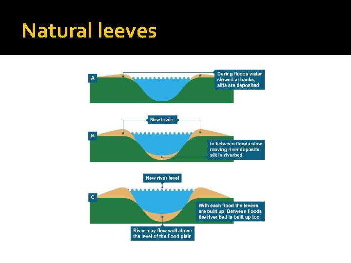 Natural leeves 