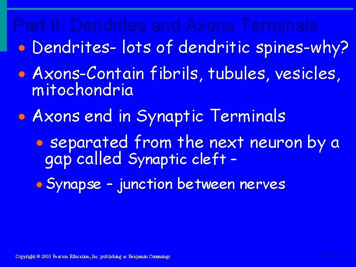 Part II. Dendrites and Axons Terminals · Dendrites- lots of dendritic spines-why? · Axons-Contain Part II. Dendrites and Axons Terminals · Dendrites- lots of dendritic spines-why? · Axons-Contain