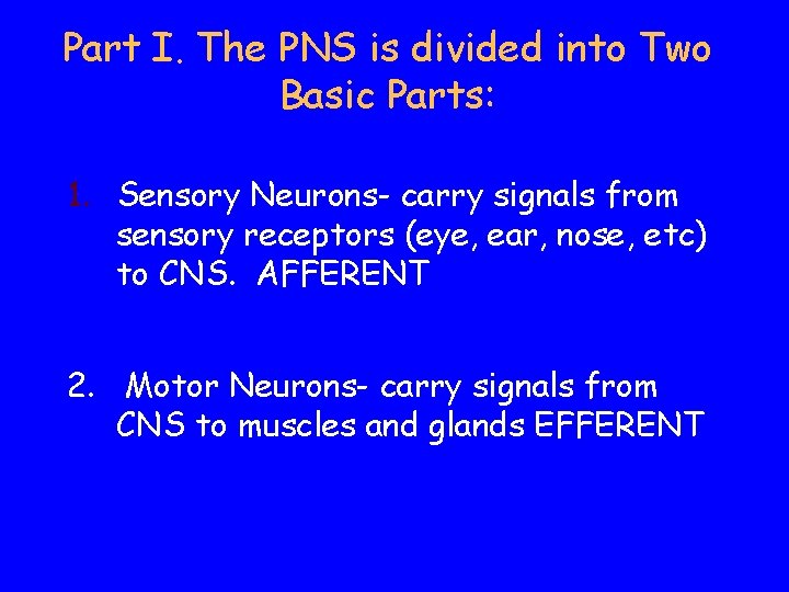 Part I. The PNS is divided into Two Basic Parts: 1. Sensory Neurons- carry Part I. The PNS is divided into Two Basic Parts: 1. Sensory Neurons- carry