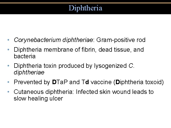 Diphtheria • Corynebacterium diphtheriae: Gram-positive rod • Diphtheria membrane of fibrin, dead tissue, and