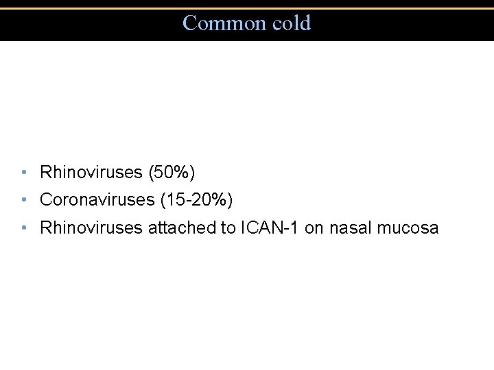 Common cold • Rhinoviruses (50%) • Coronaviruses (15 -20%) • Rhinoviruses attached to ICAN-1