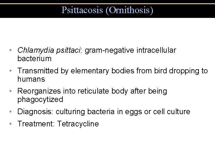 Psittacosis (Ornithosis) • Chlamydia psittaci: gram-negative intracellular bacterium • Transmitted by elementary bodies from